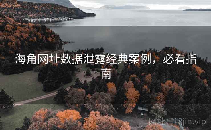 海角网址数据泄露经典案例,必看指南