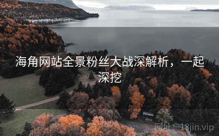 海角网站全景粉丝大战深解析,一起深挖