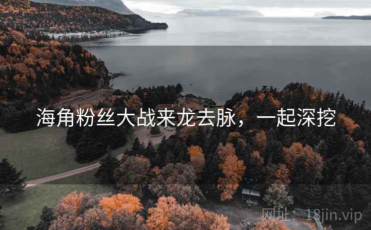 海角粉丝大战来龙去脉,一起深挖